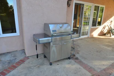 DSC_7368 (Large).JPG